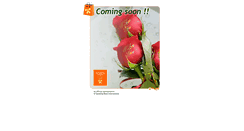 Desktop Screenshot of alcobaca.speakingroses.com